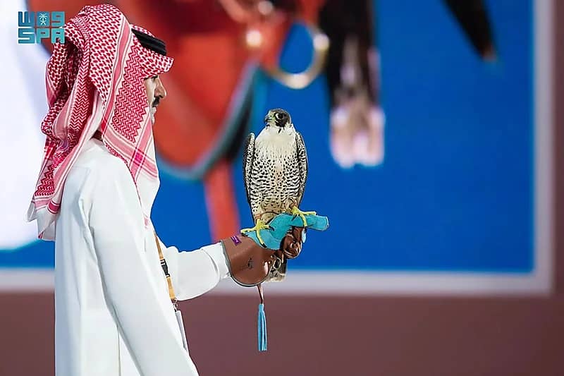 بيع أغلى صقر في النسخة الرابعة لمزاد نادي الصقور