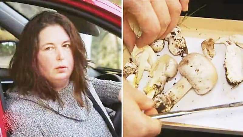 القبض على امرأة تسببت في وفاة 3 أشخاص بعدما طبخت لهم فطرًا