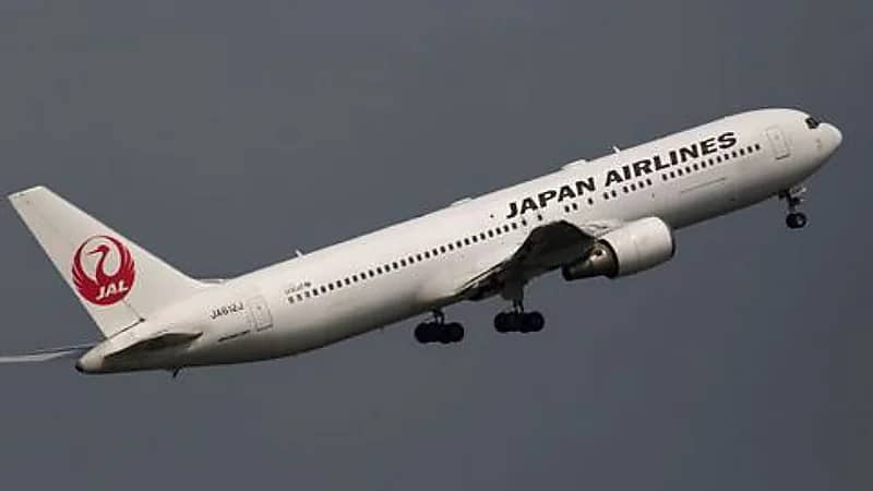 طائرة يابانية تغير وجهتها بسبب عضة .. فيديو