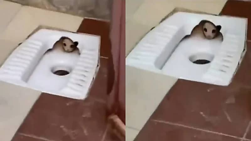 شاب يوثق مشهد مرعب في الحمام .. فيديو