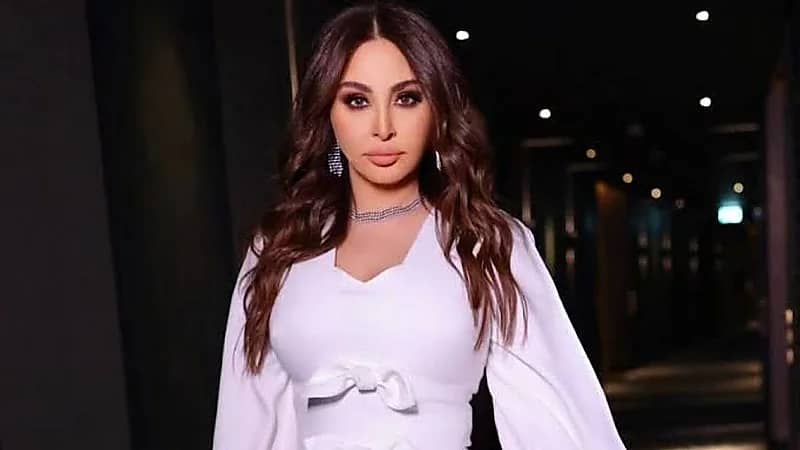 ظهور مثير لـ إليسا مع الموفد الأمريكي السابق