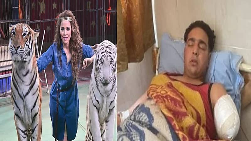 قريب ضحية النمر بمصر: مش أول ضحية لأنوسة كوتة.. فيديو