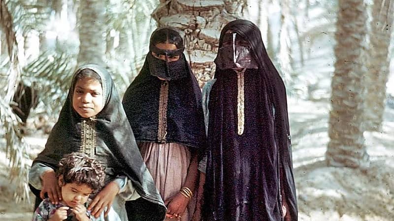 لقطات نادرة لـ عائلة في إحدى المزارع في المنطقة الشرقية تخطف الأنظار