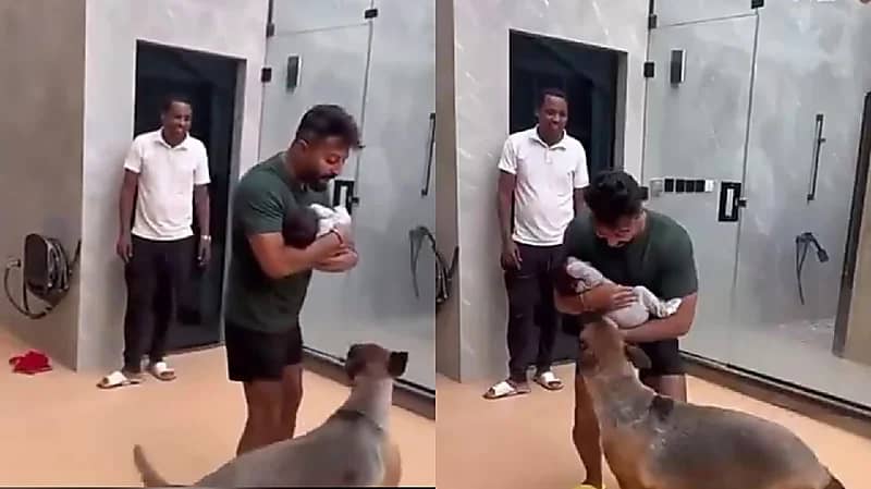 يعقوب بوشهري: أربي كلابي مع ابني ليعتادوا عليه ويحموه .. فيديو