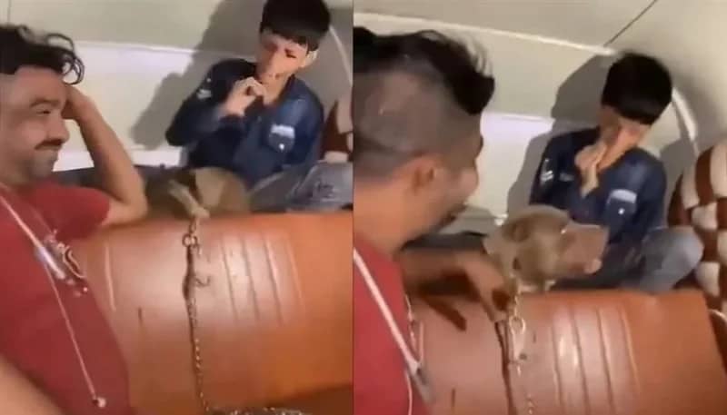 فيديو صادم لرجل يهاجم طفلًا بكلب شرس في الهند.. فيديو