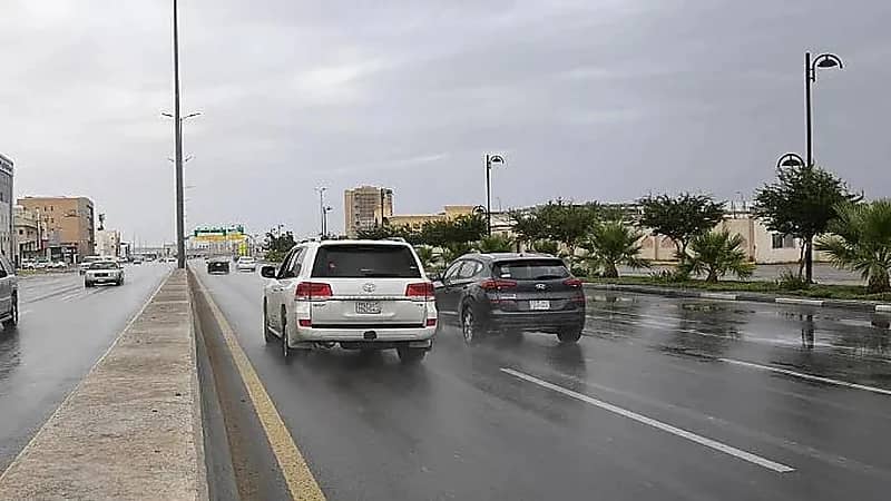 مختص يوضح هل يمكن هطول أمطار في شهر أغسطس؟