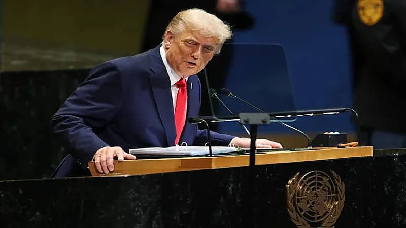 WhatsApp Image 2025-09-23 at 8.59.17 PM.jpeg