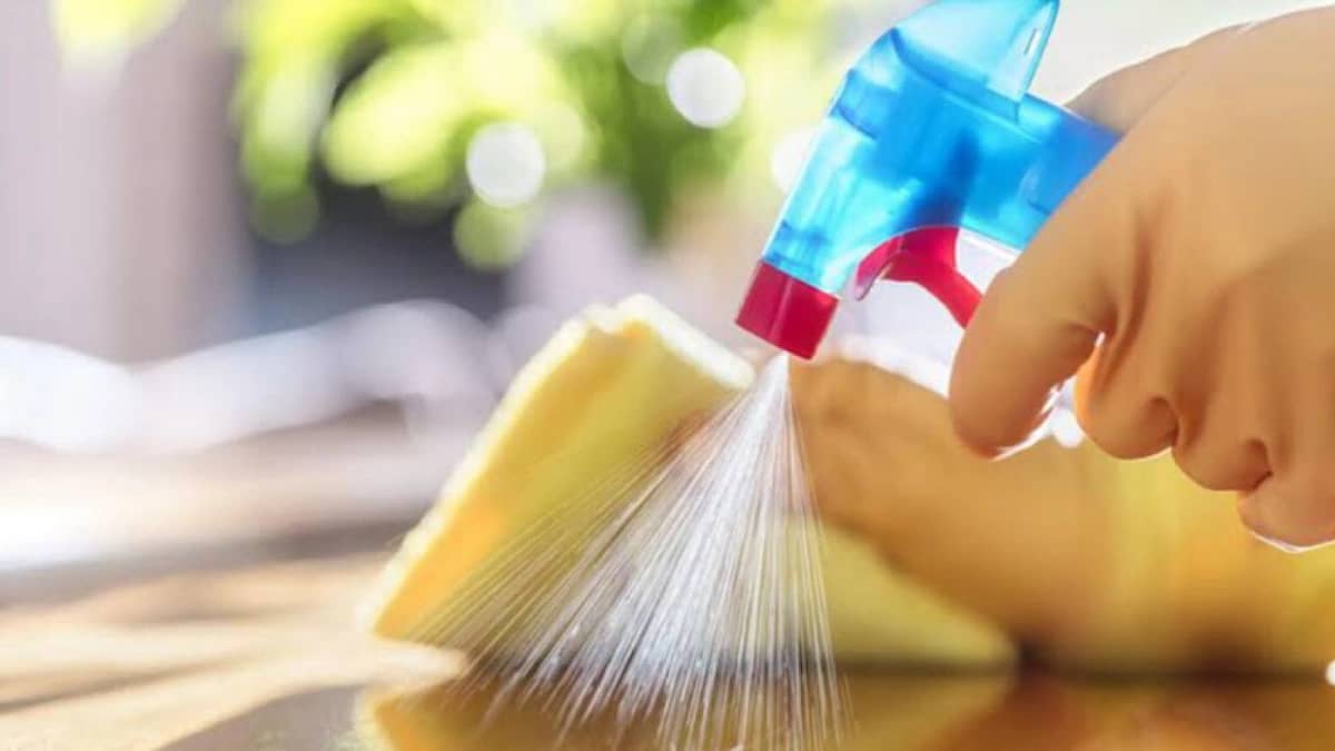 WhatsApp Image 2025-10-02 at 7.34.20 PM.jpeg