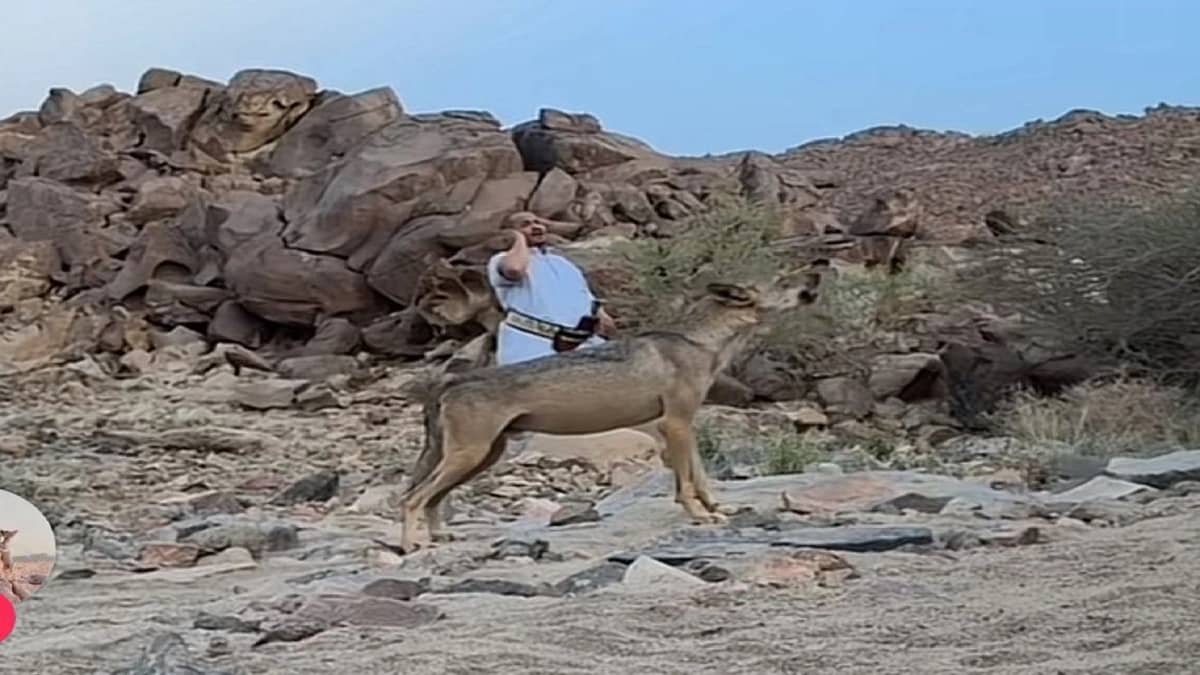 WhatsApp Image 2025-10-05 at 6.29.21 AM.jpeg