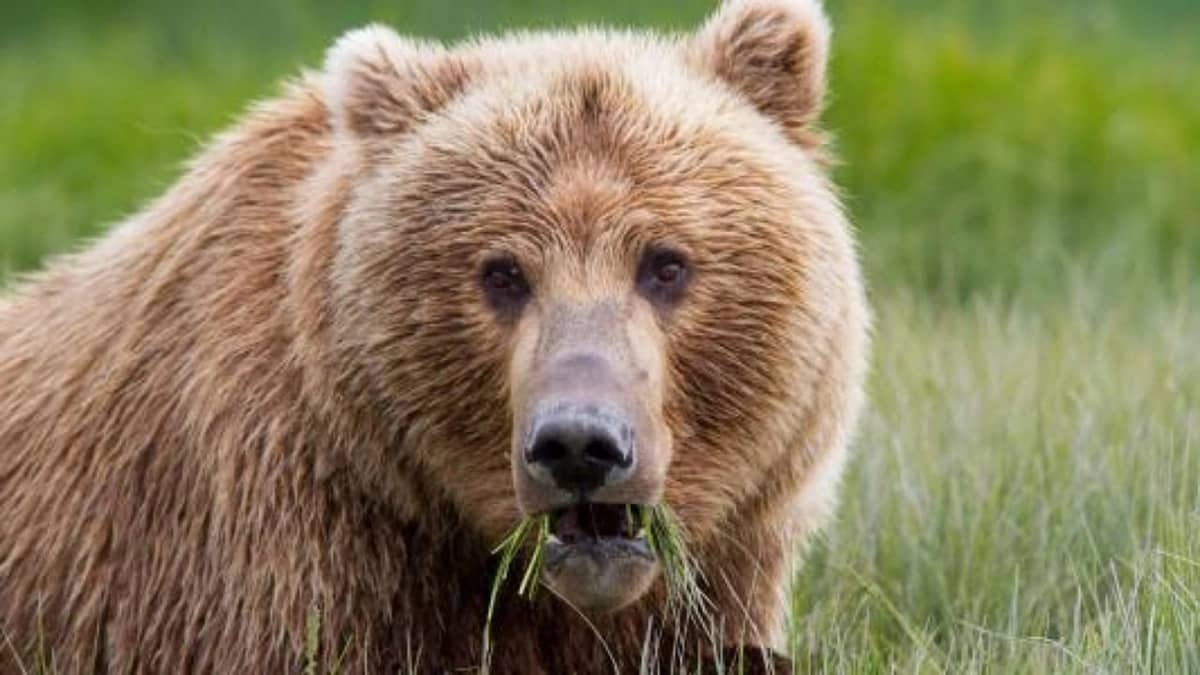 WhatsApp Image 2025-10-10 at 10.24.36 PM.jpeg