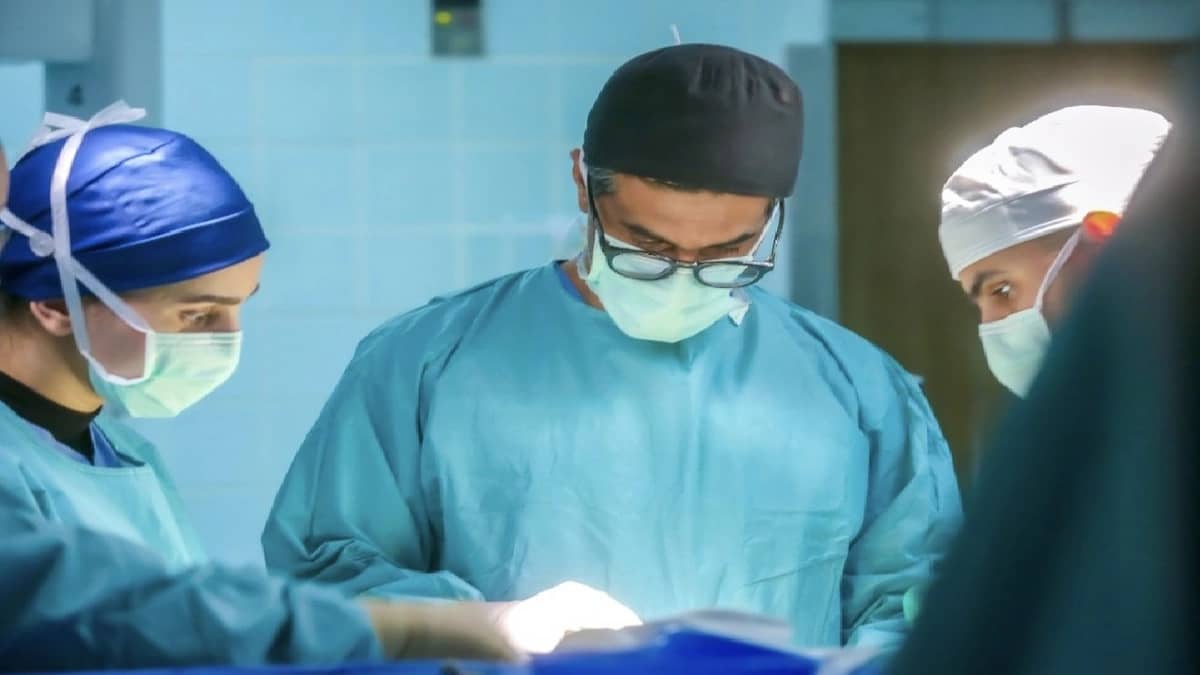 WhatsApp Image 2025-10-21 at 10.17.32 PM.jpeg