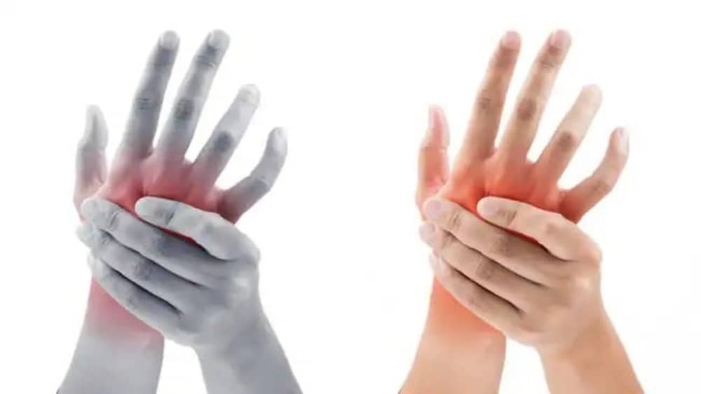 WhatsApp Image 2025-11-18 at 2.36.47 PM.jpeg