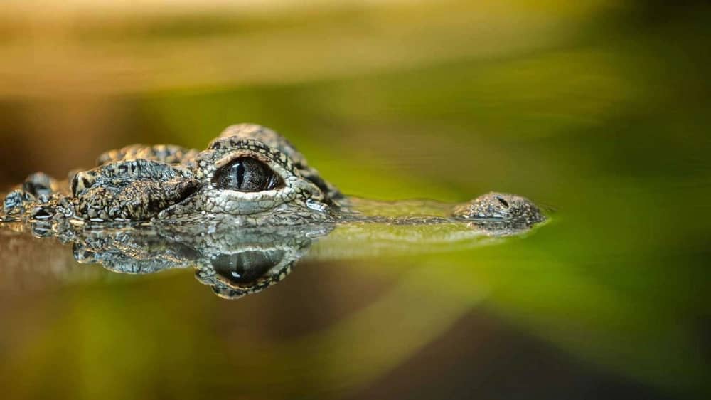 WhatsApp Image 2025-12-10 at 7.37.48 PM.jpeg