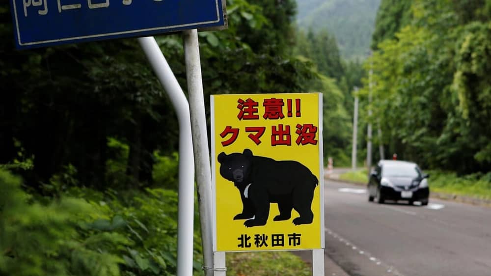 دب يلتهم شاب وساعته الذكية توثق اللحظات الأخيرة