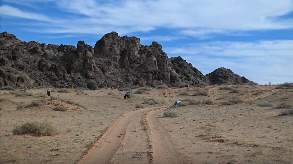 وظيفة شاغرة في محمية الملك سلمان بن عبدالعزيز الملكية