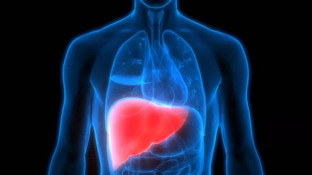 WhatsApp Image 2025-12-31 at 12.26.48 PM.jpeg