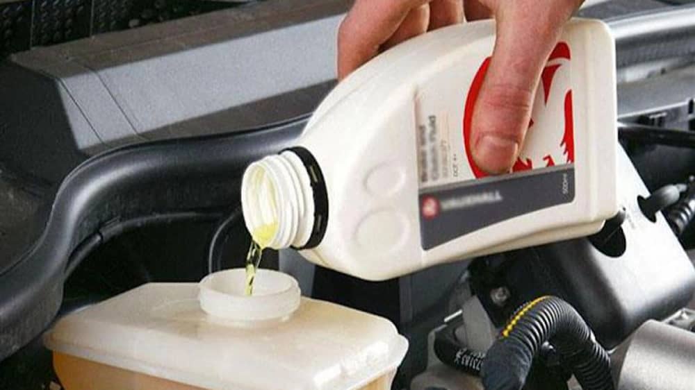 WhatsApp Image 2025-12-31 at 7.27.18 PM.jpeg