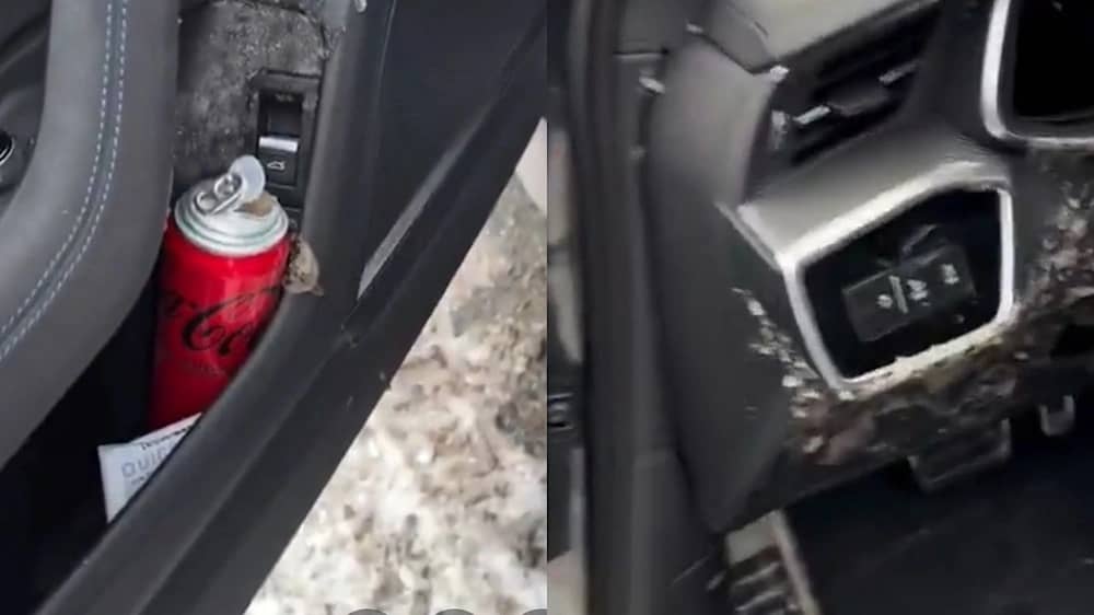 انفجار علبة كوكاكولا داخل سيارة بسبب البرد الشديد  .. فيديو