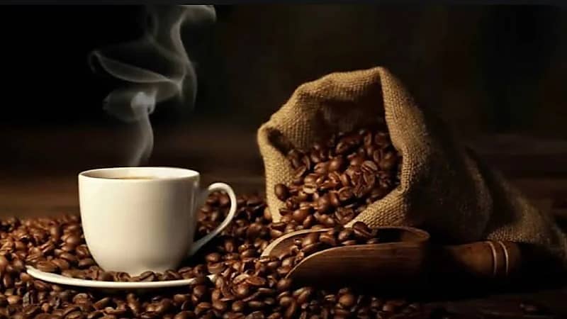 الخضيري: بقايا القهوة المطحون صحي جدا لا تفرطون فيه ..فيديو