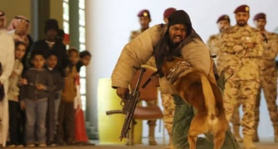 بالصور..استعراض القوات الخاصة لمهارة الكلاب البوليسية في الجنادرية