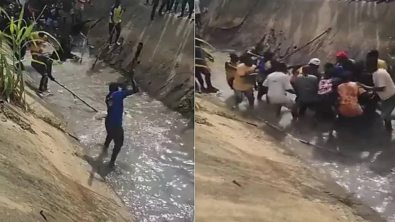 ردة فعل غير متوقعة من الأهالي تجاه تمساح قتل طفلًا.. فيديو