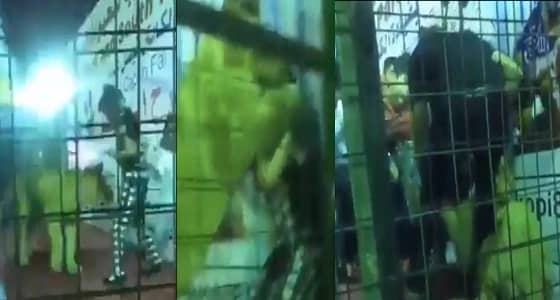 بالفيديو.. أسد يهاجم طفلة في أحد عروض الترفيه بالمملكة