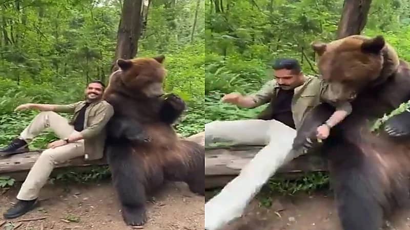 عبدالله الودعاني يتعرض للعض من دب .. فيديو