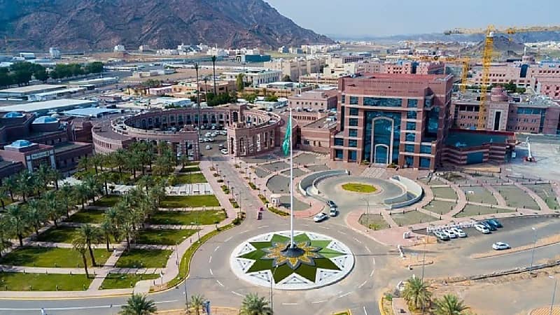 3 يوليو آخر موعد لإضافة تخصصات شروط القبول الخاصة بالجامعات