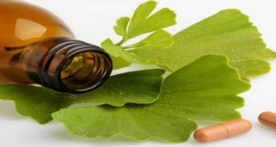 عشبة الجنكه بيلوبا تحمي من آثار الجلطة الدماغية