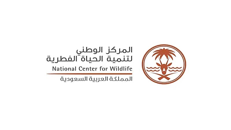 الحياة الفطرية ينفي إطلاق ذئاب في شقراء