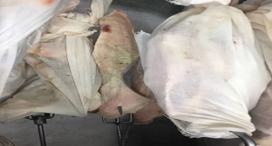 بالصور.. روائح كريهة تنبعث من ملاحم أحد رفيدة نتيجة التخزين السيء