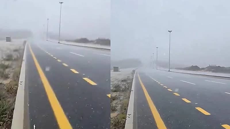 أمطار الخير تتسابق في أبها وتروي الأرض .. فيديو