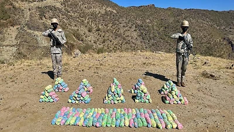 القبض على شخص لترويجه نبات القات المخدر بجازان