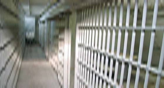 حقوقي إيراني: زيارة النواب لسجن " إيفين " بلا فائدة