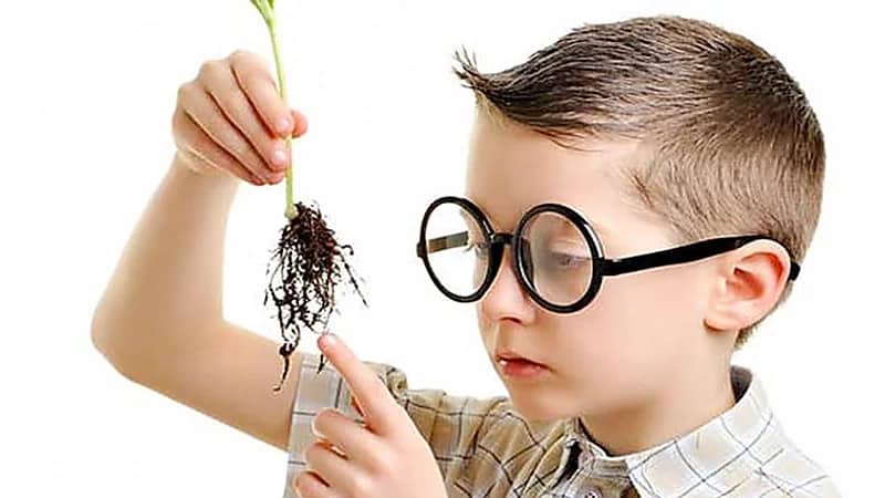 "استشاري": نقص الحديد يؤثر على ذكاء الطفل