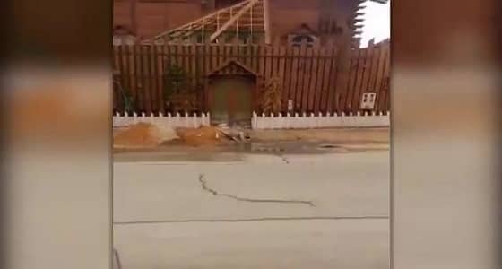 مواطنان ينشآن كوخا ريفيا مطابقا للمعايير الدولية والمحلية