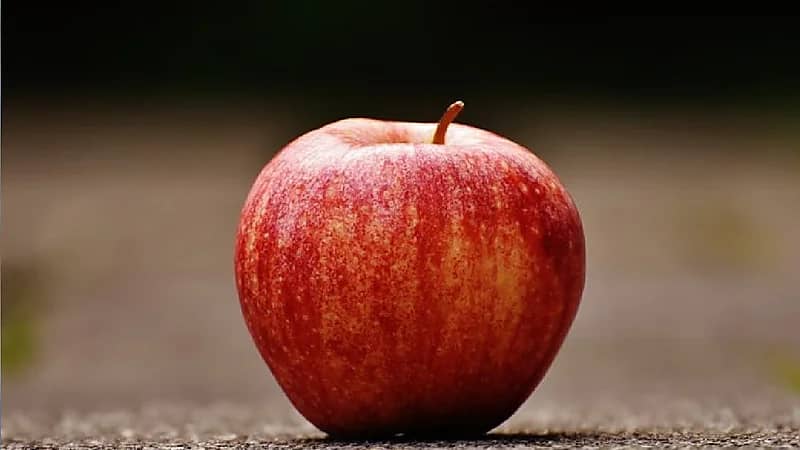 الشهري: تناول تفاحة واحدة يوميا يقلل أسباب الوفاة.. فيديو