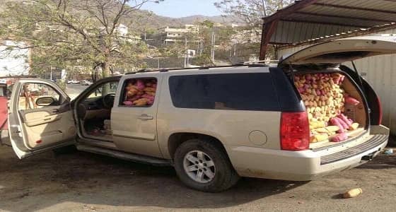 القبض على 227 مهربا و7398 متسللا خلال النصف الأول للعام الحالي بجازان