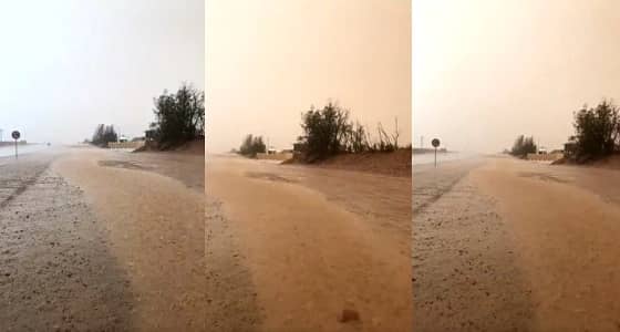 بالفيديو.. أمطار الخير تكسو شوارع القصيم