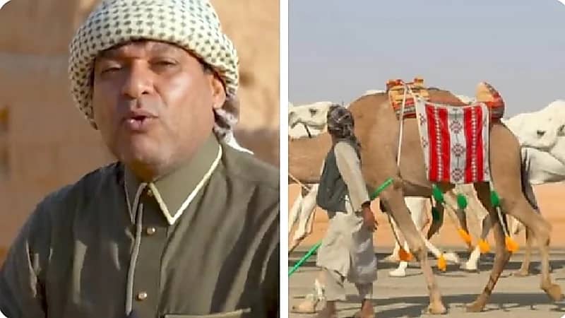 الزعاق يكشف العلاقة بين موسم الوسم والإبل.. فيديو