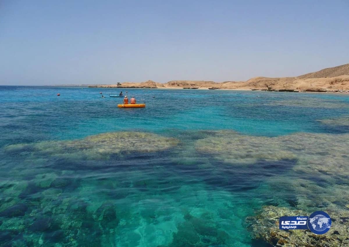 محكمة الأمور المستعجلة بالقاهرة توقف تنفيذ حكم بطلان تيران وصنافير