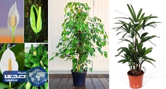 بالفيديو .. نصائح " ناسا " الفضائية لنوم حالم بدون قلق