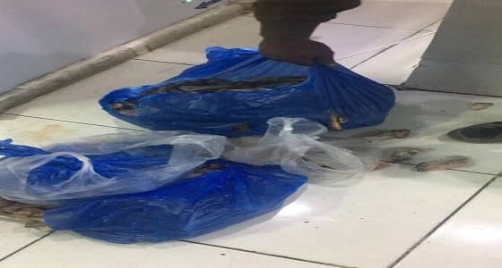 إتلاف 17 كيلو مواد غذائية فاسدة بالمدينة