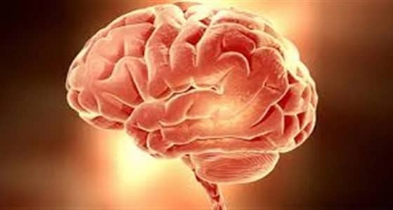 اعتماد أول اختبار للدم يساعد في تشخيص إصابات الدماغ
