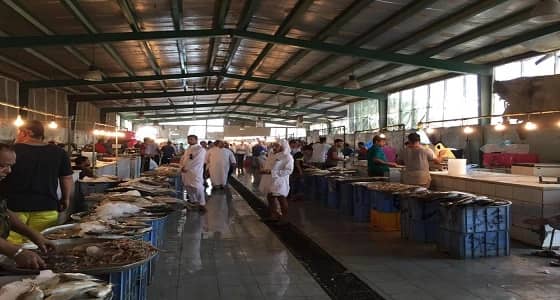 المتحدث باسم " حرس الحدود شرقية " : لم نمنع إبحار قوارب الصيد