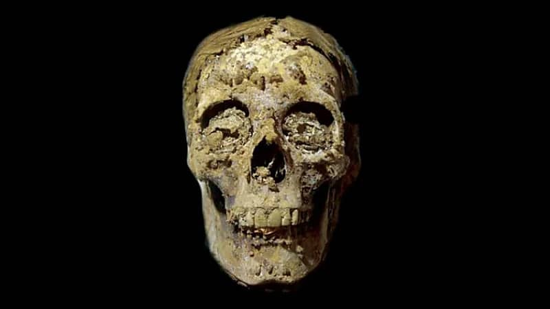 العثور على لسان ذهب داخل فم مومياء مصرية