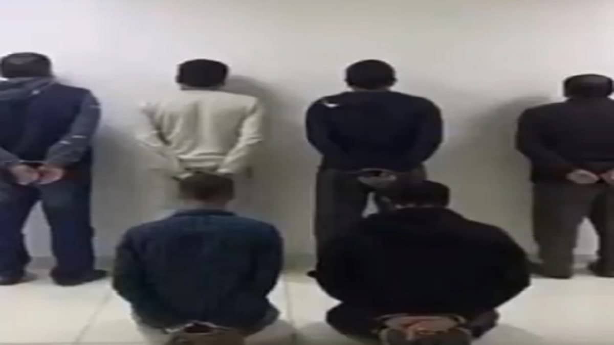 إمهال بائعي الحطب والفحم 6 أشهر لتصحيح أوضاعهم