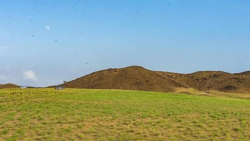 المسند: بقى على العقارب يوم واحد وإجازة الشتاء 15