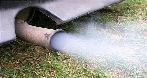 " الحكومة الألمانية " تندد باختبارات عوادم سيارات على البشر والقرود