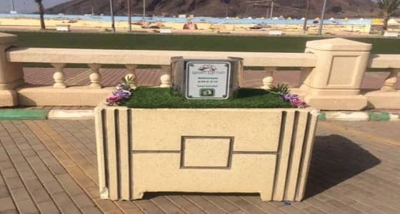 بالفيديو.. حاويات هيدروليكية للتخلص من النفايات بمحايل عسير